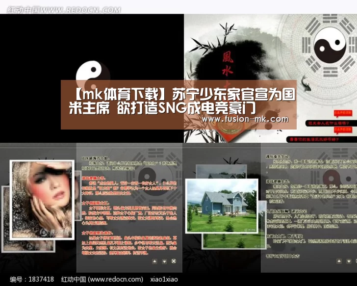 mk体育下载