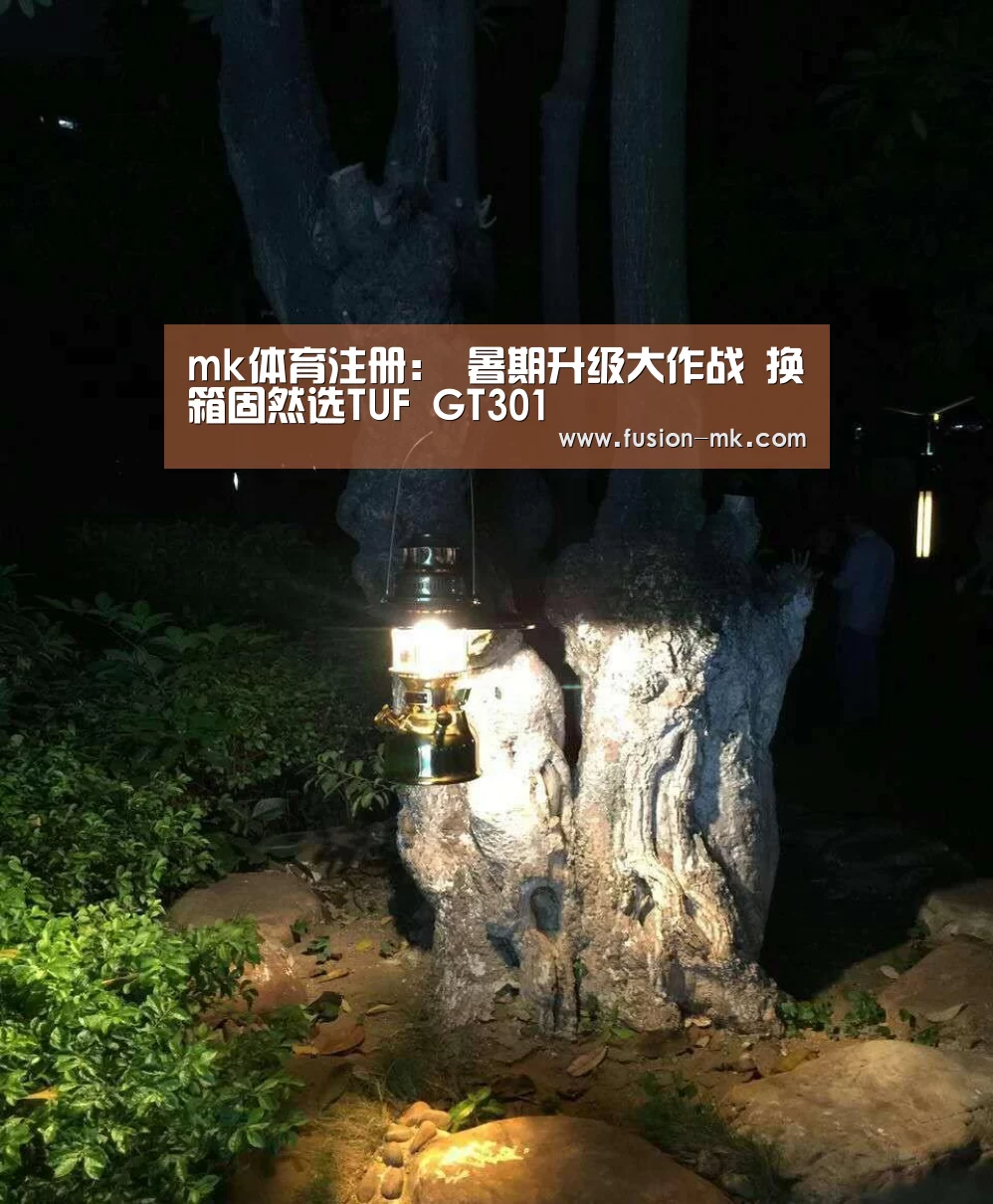 mk体育注册:
暑期升级大作战 换箱固然选TUF GT301(图3) mk体育app