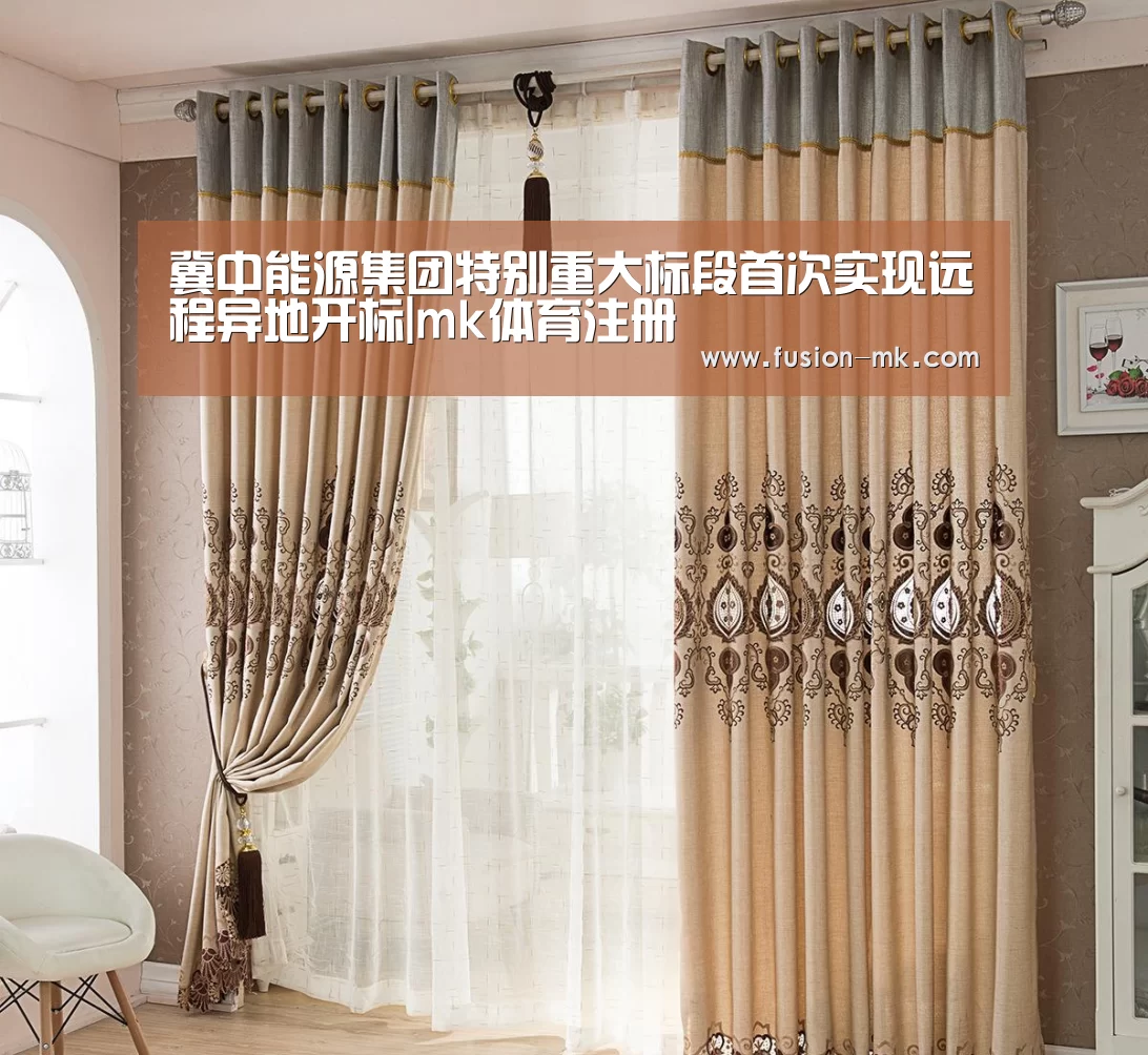 冀中能源集团特别重大标段首次实现远程异地开标|mk体育注册(图3) mk体育app